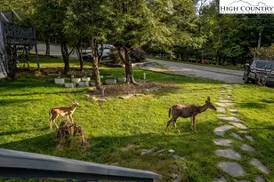 105 N Pinnacle Ridge Rd, Beech Mountain, NC 28604 - Photo 30