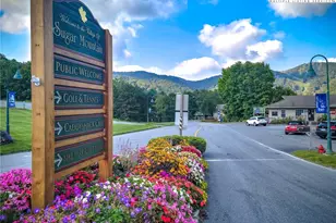 150 Glenwood Ln, Sugar Mountain, NC 28604 - Photo 34