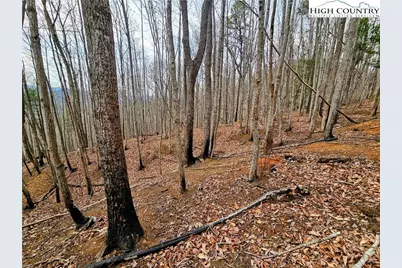 Lot 61 Tomahawk Ridge Drive, Collettsville, NC 28611 - Photo 8