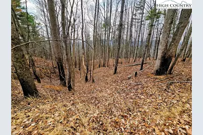 Lot 61 Tomahawk Ridge Drive, Collettsville, NC 28611 - Photo 4