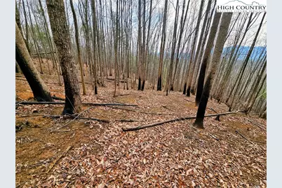 Lot 61 Tomahawk Ridge Drive, Collettsville, NC 28611 - Photo 6