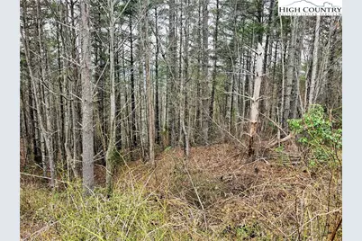 Lot 55 Tomahawk Ridge Drive, Collettsville, NC 28611 - Photo 2