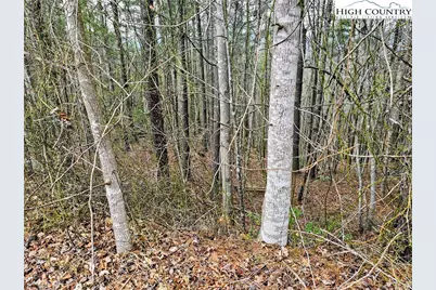 Lot 55 Tomahawk Ridge Drive, Collettsville, NC 28611 - Photo 8