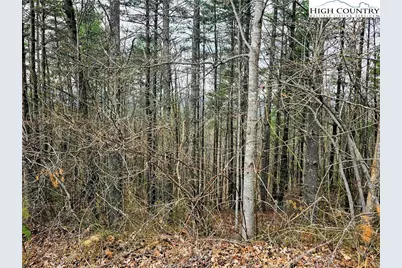 Lot 55 Tomahawk Ridge Drive, Collettsville, NC 28611 - Photo 6