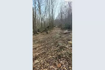 327 Locust Ridge Road, Beech Mountain, NC 28604 - Photo 14