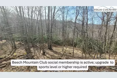 327 Locust Ridge Road, Beech Mountain, NC 28604 - Photo 1