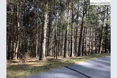 Tract 101 Valle Cay Drive, Vilas, NC 28692 - Photo 6