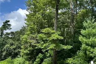 Lot 16 & 17 Sunset Ridge, Boone, NC 28607 - Photo 1