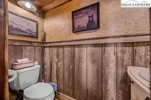 184 Pasture Ln, Banner Elk, NC 28604 - Photo 8