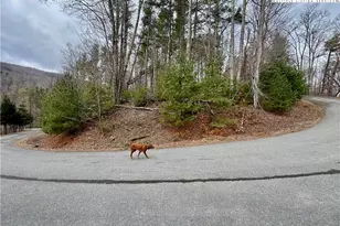 Tbd Mantera Ridge, Sugar Grove, NC 28679 - Photo 1