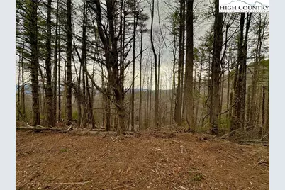 Tbd Mantera Ridge, Sugar Grove, NC 28679 - Photo 10