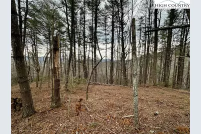 Tbd Mantera Ridge, Sugar Grove, NC 28679 - Photo 6