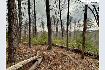 Tbd Mantera Ridge, Sugar Grove, NC 28679 - Photo 4