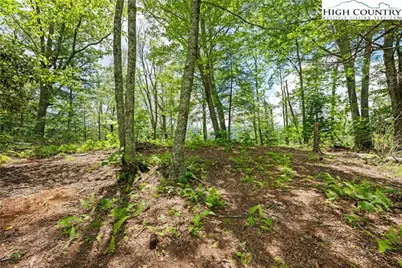 Lot 41 White Fox Lane, Banner Elk, NC 28604 - Photo 4