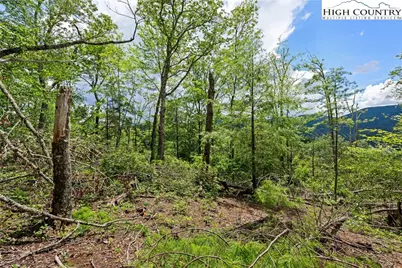 Lot 41 White Fox Lane, Banner Elk, NC 28604 - Photo 6