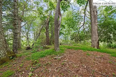 Lot 41 White Fox Lane, Banner Elk, NC 28604 - Photo 8