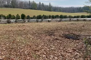 48 Saddle Mountain Church Rd, Ennice, NC 28623 - Photo 18