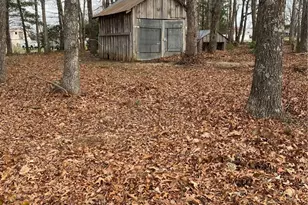 48 Saddle Mountain Church Rd, Ennice, NC 28623 - Photo 4