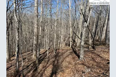 Lot 45 Happyland Road #45, Piney Creek, NC 28631 - Photo 4