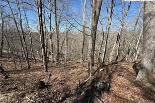 Lot 45 Happyland Rd, Piney Creek, NC 28631 - Photo 1