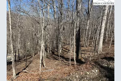 Lot 45 Happyland Road #45, Piney Creek, NC 28631 - Photo 8