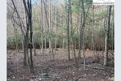 Tbd Prathers Creek Church Road, Laurel Springs, NC 28644 - Photo 20