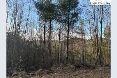 Tbd Prathers Creek Church Road, Laurel Springs, NC 28644 - Photo 2