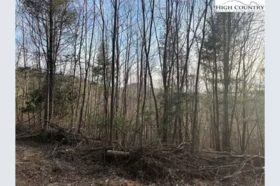 Tbd Prathers Creek Church Road, Laurel Springs, NC 28644 - Photo 4