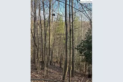 Tbd Prathers Creek Church Road, Laurel Springs, NC 28644 - Photo 28