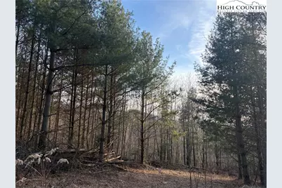 Tbd Prathers Creek Church Road, Laurel Springs, NC 28644 - Photo 22