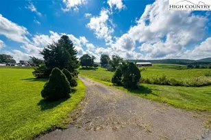 4954 Shawtown Rd, Ennice, NC 28623 - Photo 2