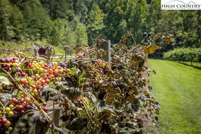 140 Johns Ridge Parkway, Lenoir, NC 28534 - Photo 32