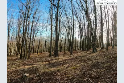 663 Rocky Parkway, Banner Elk, NC 28607 - Photo 8