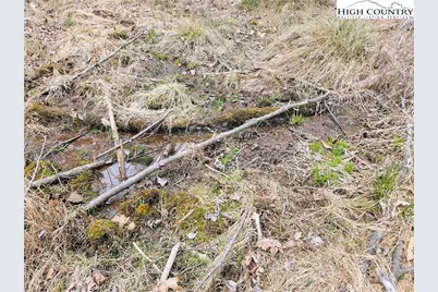 Tba Pine Springs Dr, Jefferson, NC 28640 - Photo 16