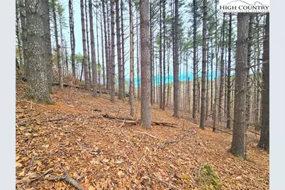 Tba Pine Springs Dr, Jefferson, NC 28640 - Photo 12