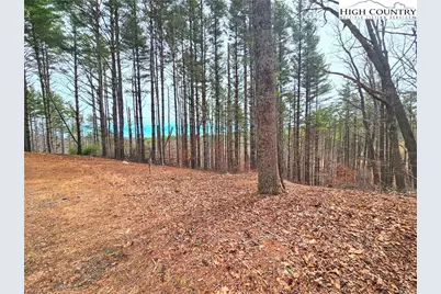 Tba Pine Springs Dr, Jefferson, NC 28640 - Photo 4