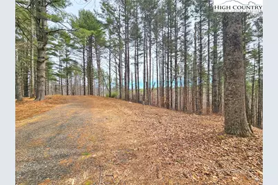 Tba Pine Springs Dr, Jefferson, NC 28640 - Photo 6