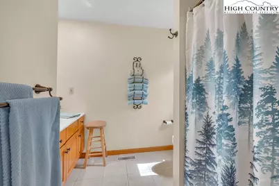 438 Virgils Lane, Boone, NC 28607 - Photo 22