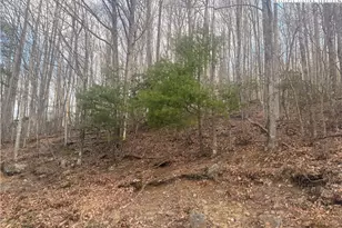 212 Jackpine Rd, Beech Mountain, NC 28604 - Photo 1