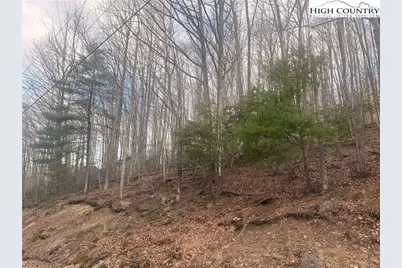 212 Jackpine Road, Beech Mountain, NC 28604 - Photo 2