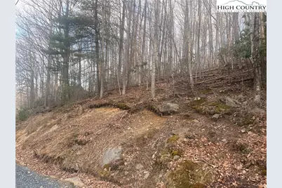 212 Jackpine Road, Beech Mountain, NC 28604 - Photo 4