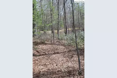 Lot #6 Cubs Lane, Sparta, NC 28675 - Photo 28