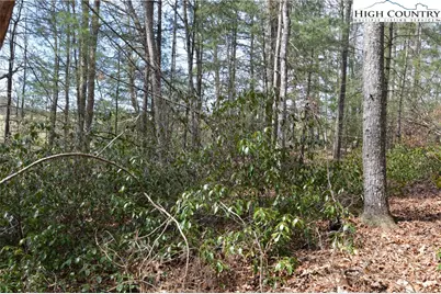 Lot #6 Cubs Lane, Sparta, NC 28675 - Photo 20