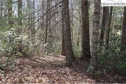 Lot #6 Cubs Lane, Sparta, NC 28675 - Photo 6