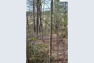 Lot #6 Cubs Lane, Sparta, NC 28675 - Photo 16
