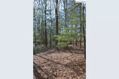 Lot #6 Cubs Lane, Sparta, NC 28675 - Photo 32
