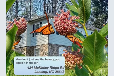 424 McKinley Ridge Road, Lansing, NC 28643 - Photo 40