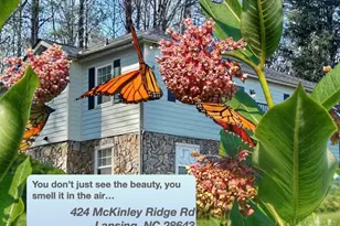 424 McKinley Rdg Rd, Lansing, NC 28643 - Photo 40