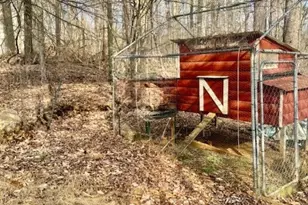 424 McKinley Rdg Rd, Lansing, NC 28643 - Photo 28