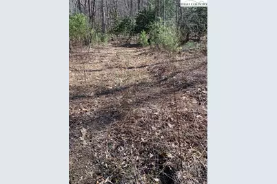 Tbd Starmount Lane, Sparta, NC 28675 - Photo 14